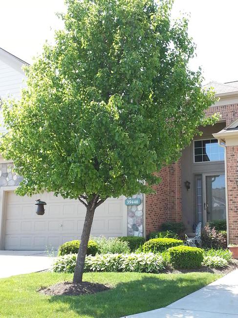 Country Club Village Northville Condo With Landscaping